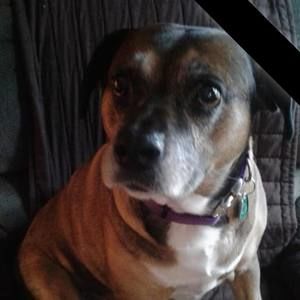 Meet your Posher, Kerry